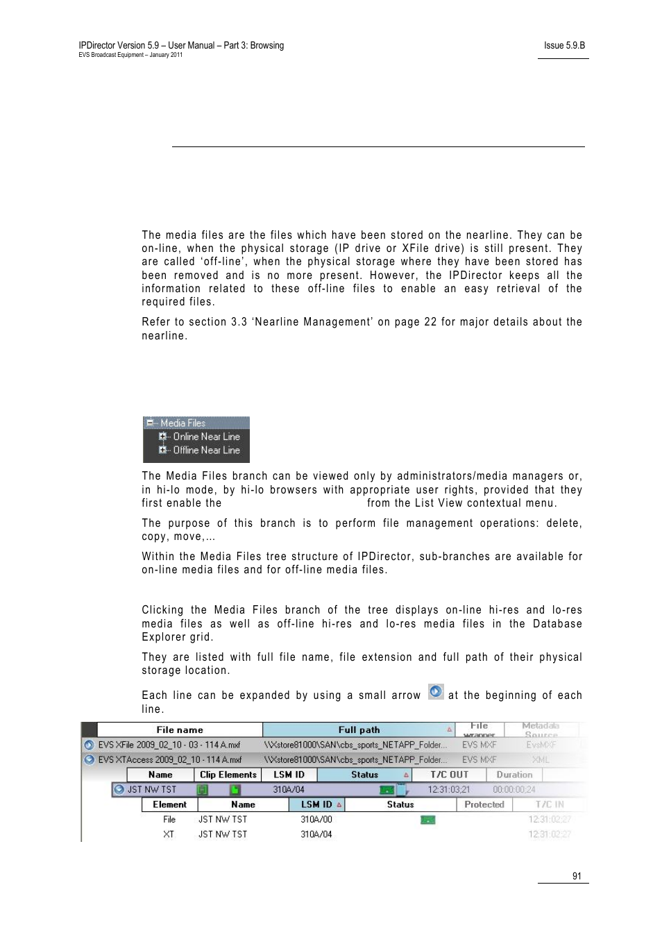 Media files view, 1 introduction, 2 media files tree structure | How to delete a log directory or a log sheet, How to export a log sheet from the tree, 10 ‘media files view’ on pa | EVS IPDirector Version 5.9 - January 2011 Part 3 User’s Manual User Manual | Page 104 / 139