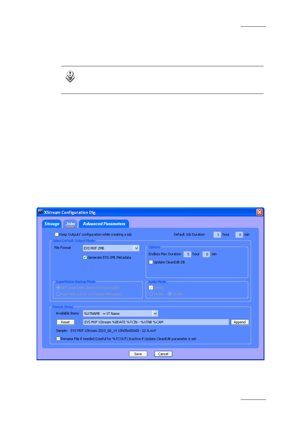 Number of disks, Path channels, 2 jobs tab | Jobs tab | EVS Xfile Version 2.16 - November 2011 User Manual User Manual | Page 133 / 192