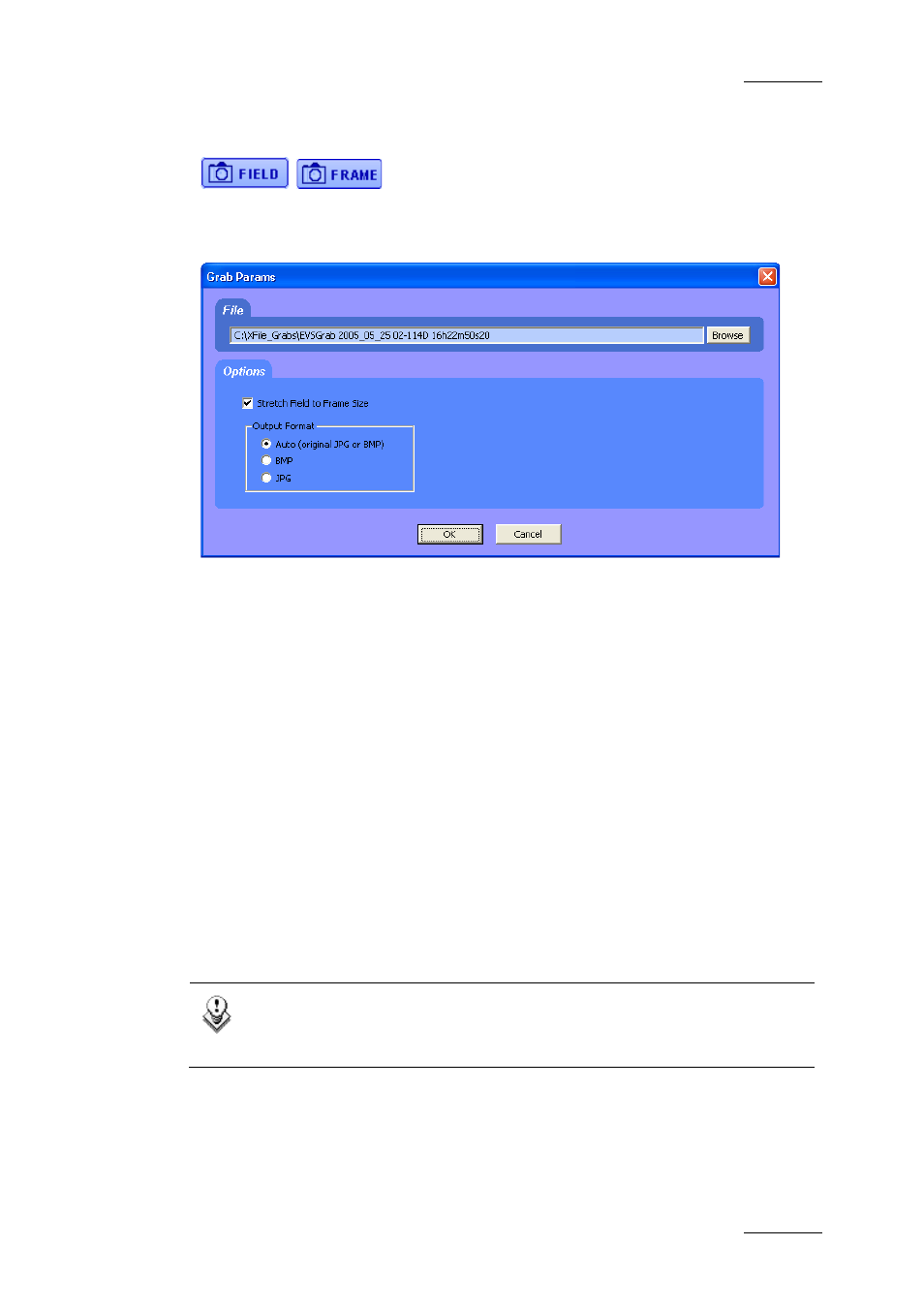 Grab options, File area, Options area | Stretch field to frame size, Output format | EVS Xfile Version 2.16 - November 2011 User Manual User Manual | Page 167 / 192