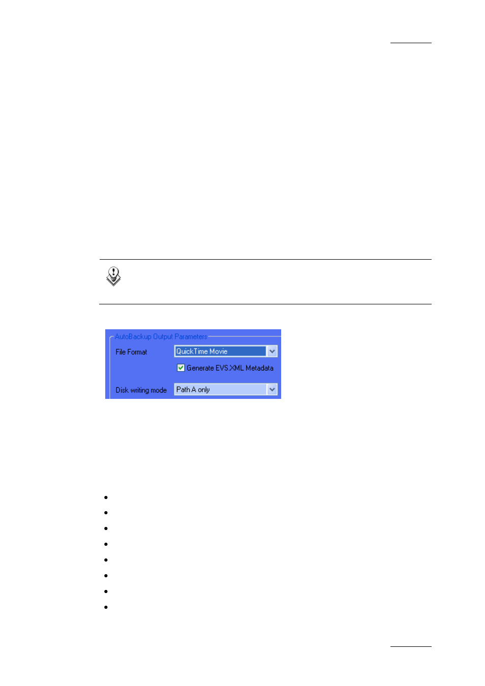 Output parameters, Output file format | EVS Xfile Version 2.16 - November 2011 User Manual User Manual | Page 31 / 192