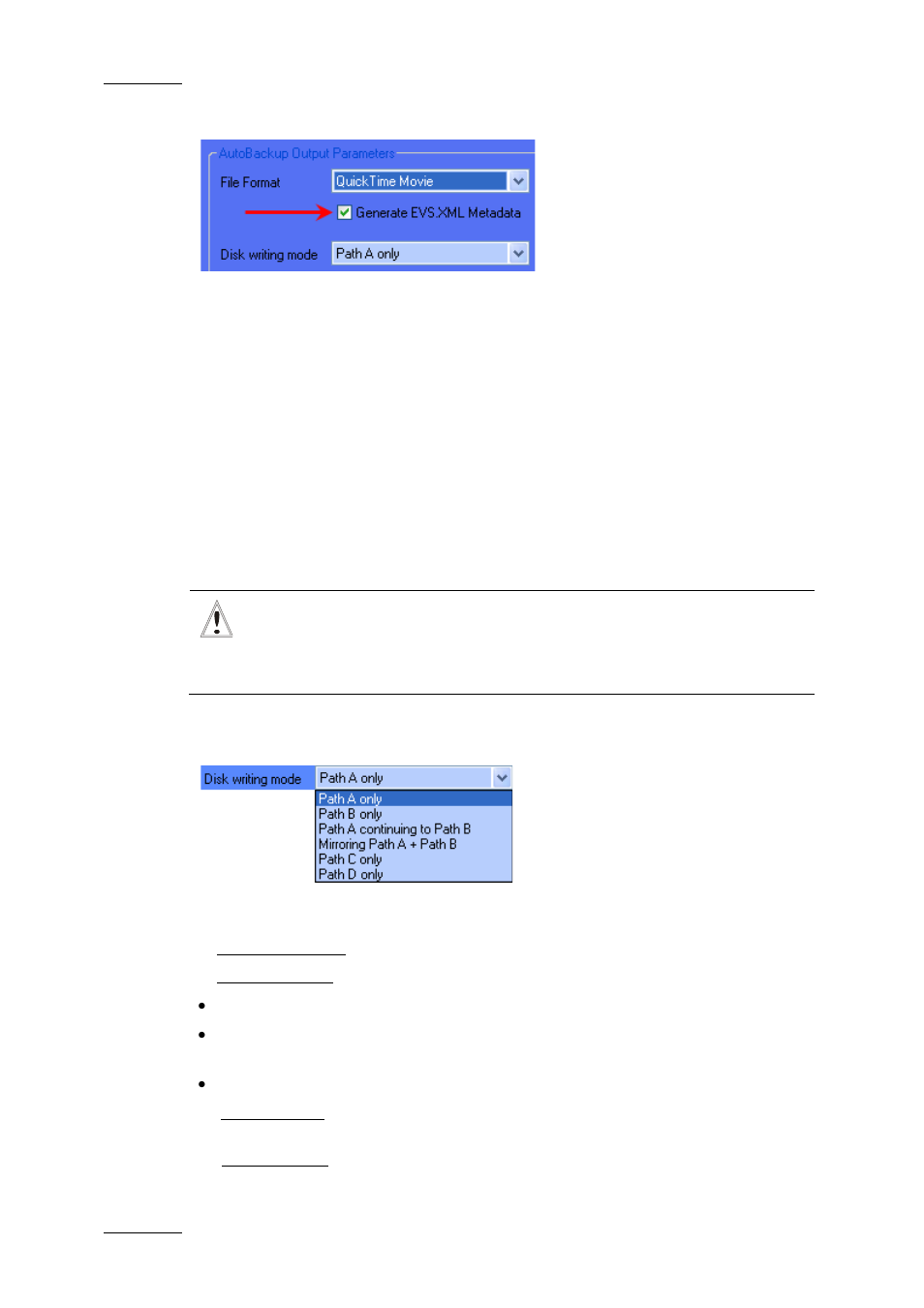 Generating an xml metadata file, Disk writing mode | EVS Xfile Version 2.16 - November 2011 User Manual User Manual | Page 32 / 192