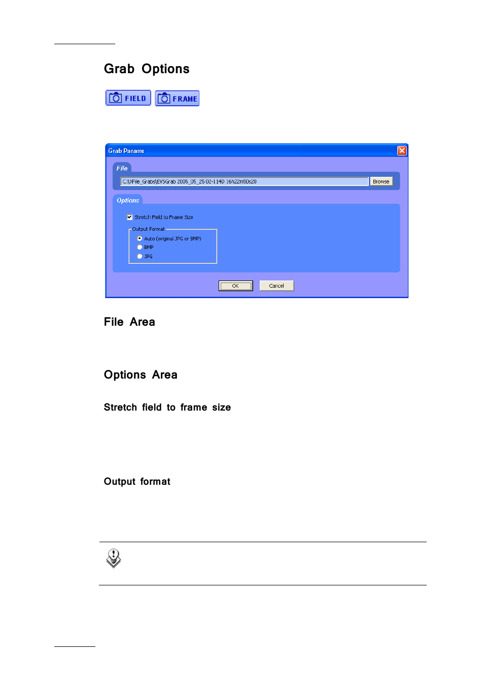 Grab options, File area, Options area | Stretch field to frame size, Output format | EVS Xfile Version 2.19 - November 2012 User Manual User Manual | Page 170 / 196