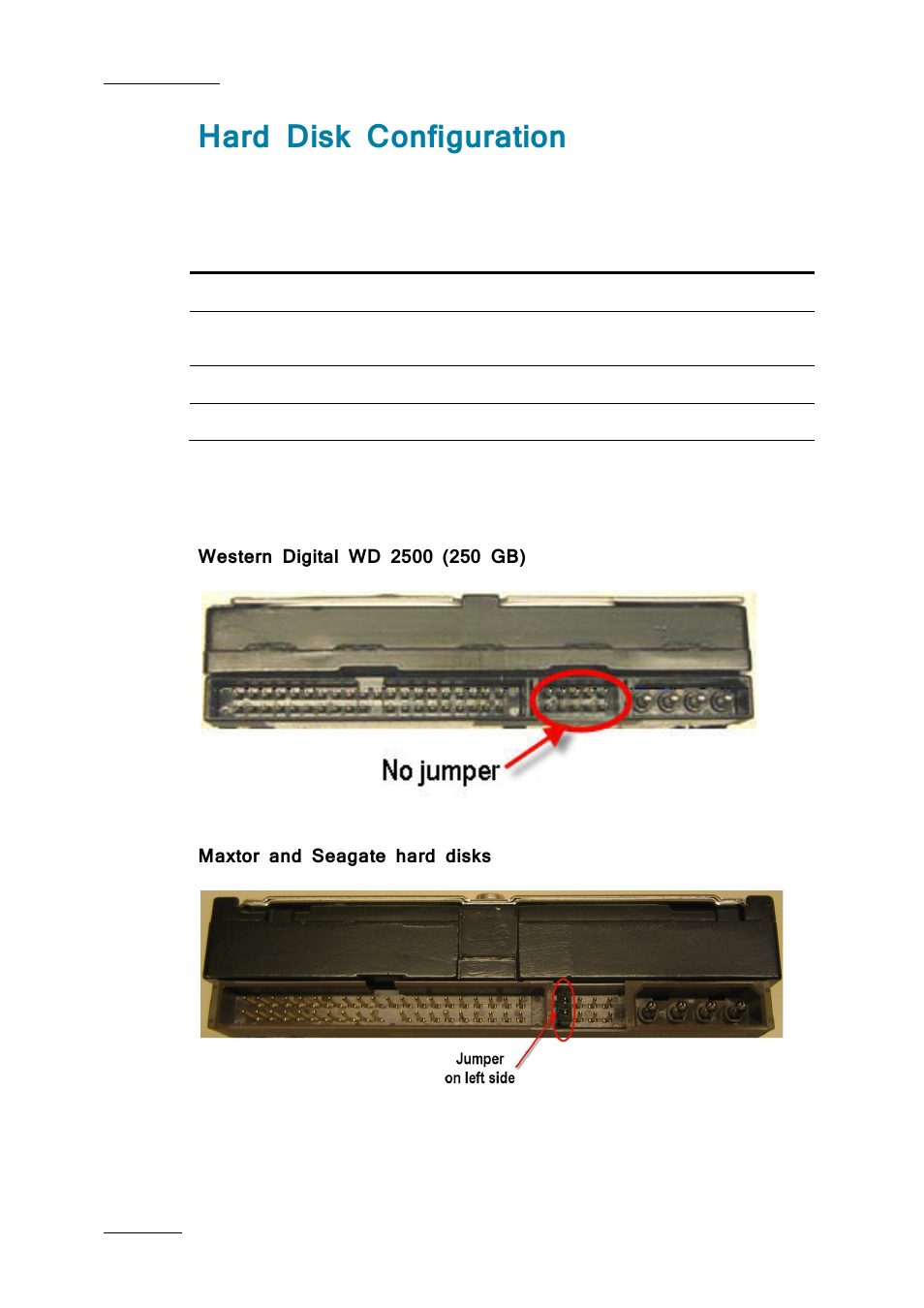 Hard disk configuration, Western digital wd 2500 (250 gb), Maxtor and seagate hard disks | E 182 | EVS Xfile Version 2.19 - November 2012 User Manual User Manual | Page 192 / 196