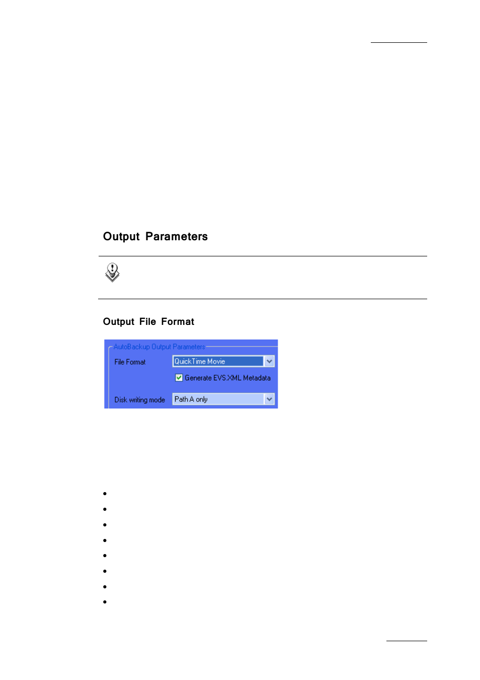 Output parameters, Output file format | EVS Xfile Version 2.19 - November 2012 User Manual User Manual | Page 31 / 196