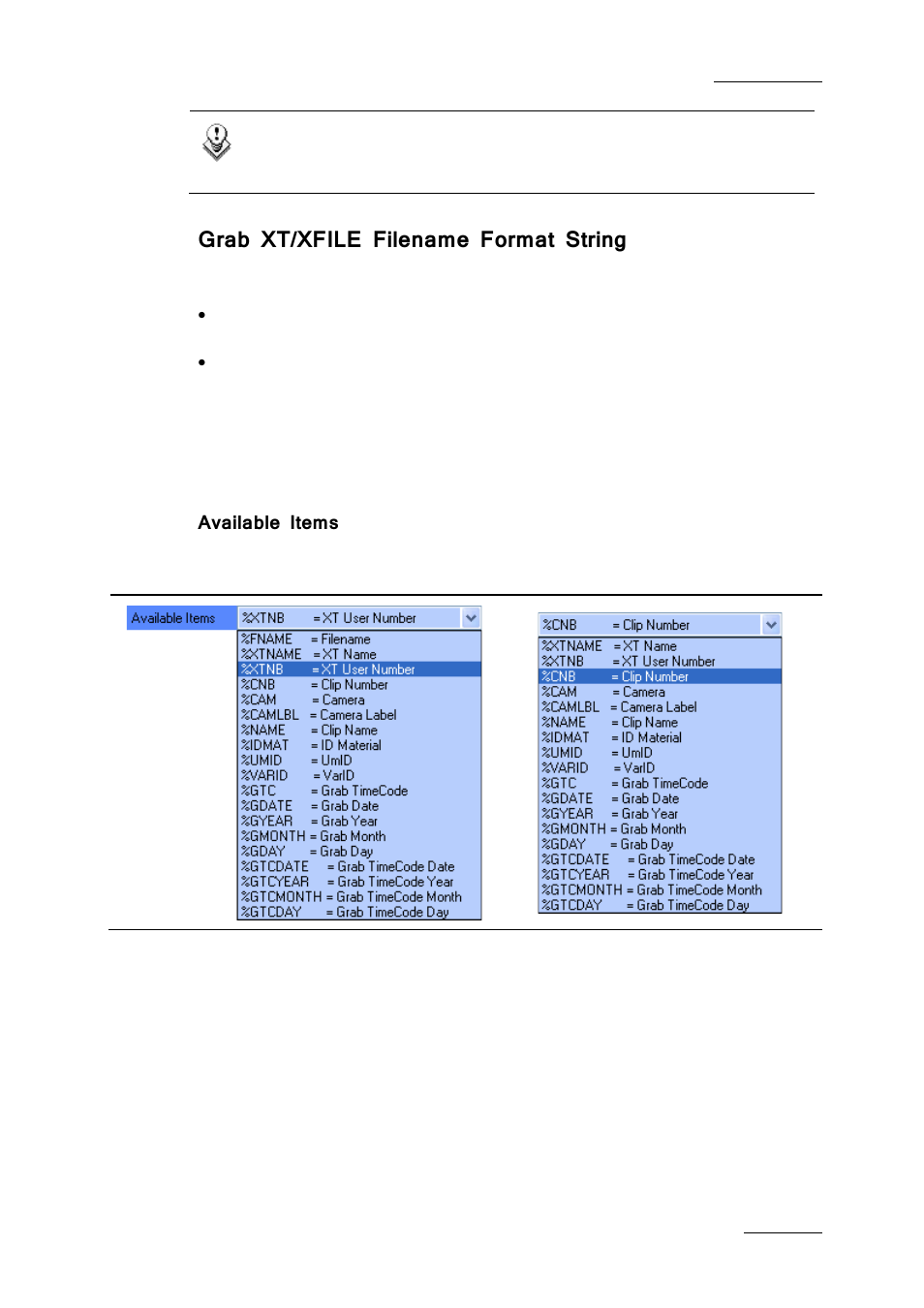 Grab xt/xfile filename format string, Available items | EVS Xfile Version 2.19 - November 2012 User Manual User Manual | Page 45 / 196