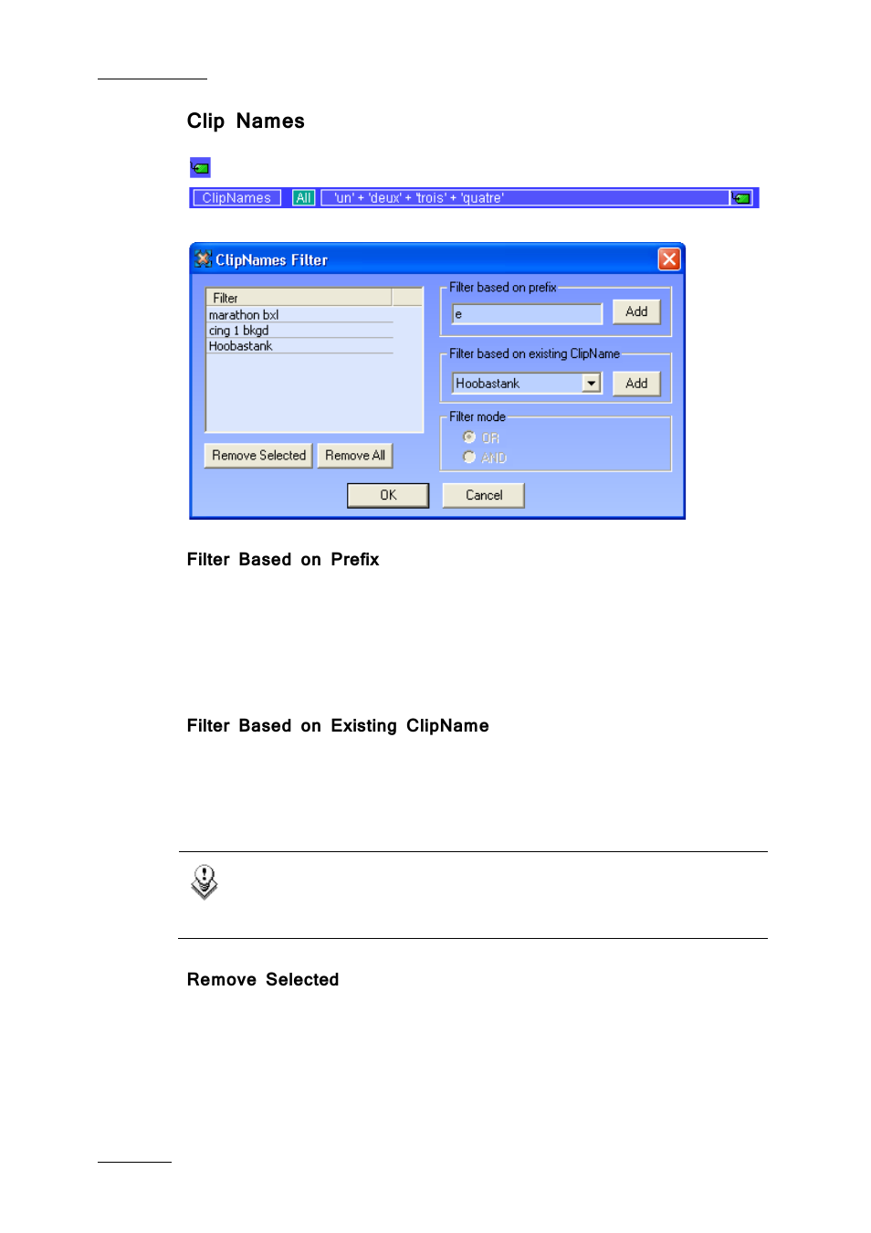 Clip names, Filter based on prefix, Filter based on existing clipname | Remove selected | EVS Xfile Version 2.19 - November 2012 User Manual User Manual | Page 64 / 196