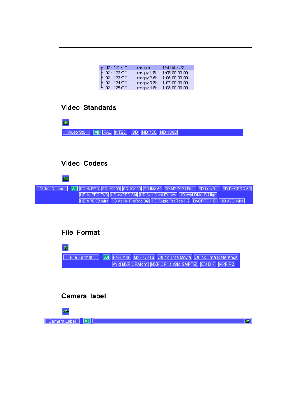 Video standards, Video codecs, File format | Camera label | EVS Xfile Version 2.19 - November 2012 User Manual User Manual | Page 69 / 196