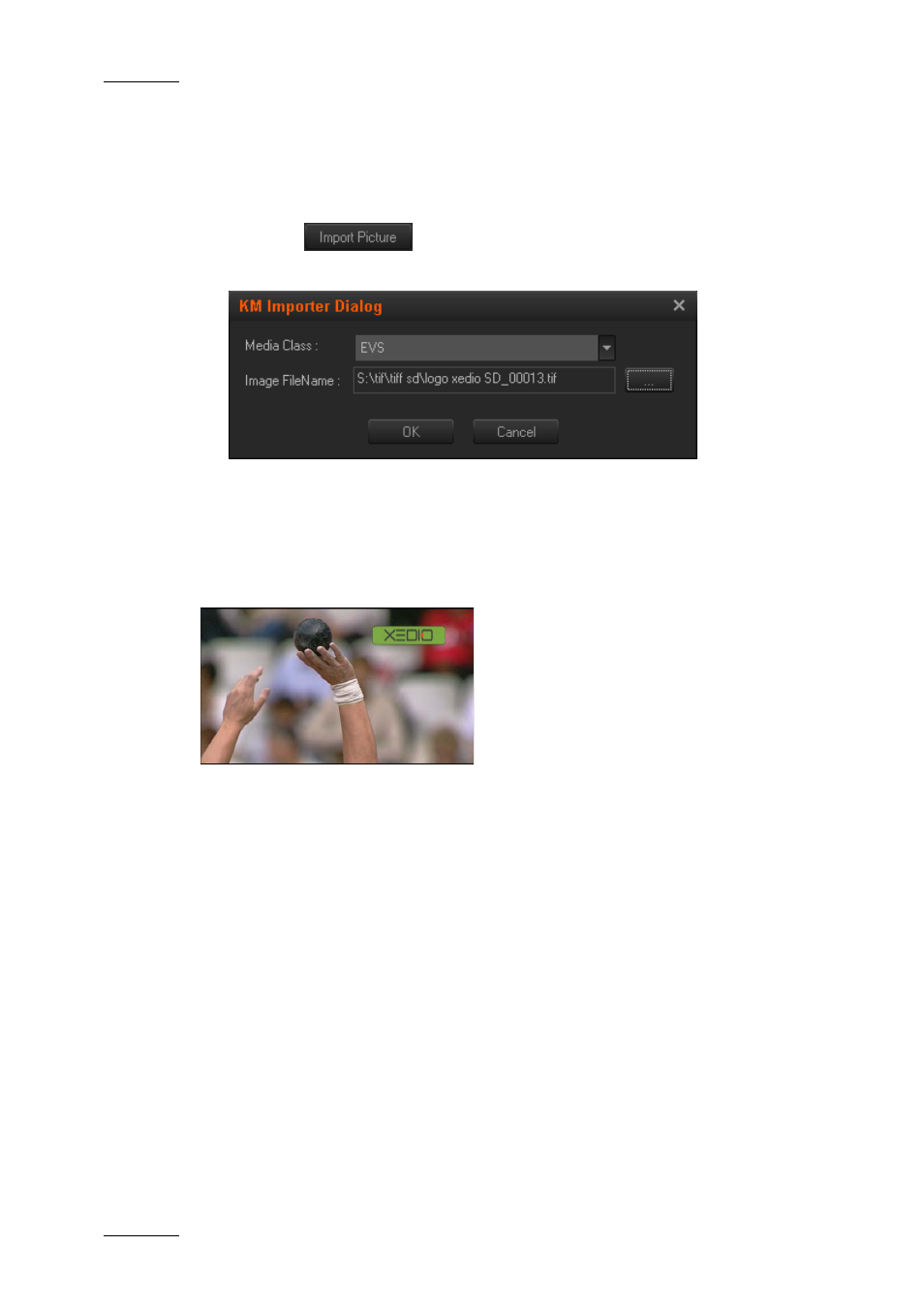 Adding graphics | EVS XEDIO CleanEdit Version 4.1 - December 2011 User Manual User Manual | Page 220 / 246