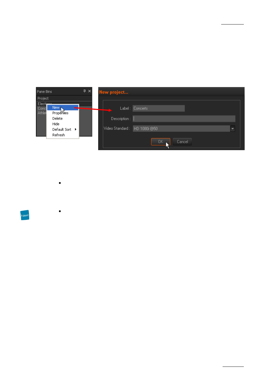 4 creating a new project, Procedure, Project default values | Project video standard, Creating a new project, Reating a, Roject | EVS XEDIO CleanEdit Version 4.1 - December 2011 User Manual User Manual | Page 55 / 246