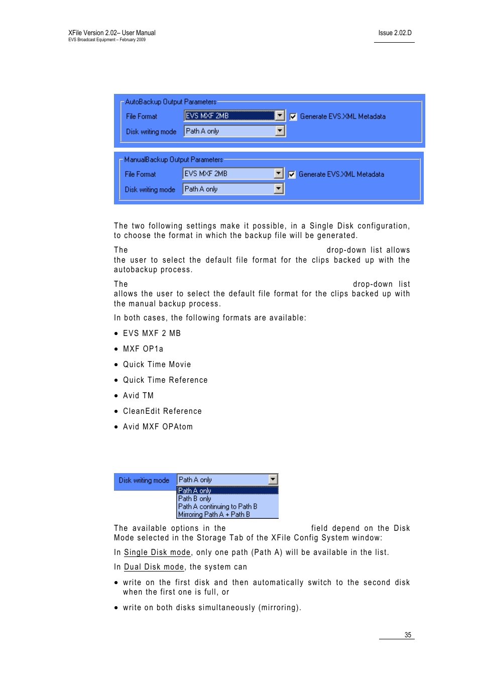 Parameters for output file format, Disk writing mode | EVS Xfile Version 2.02 - February 2009 User Manual User Manual | Page 36 / 189