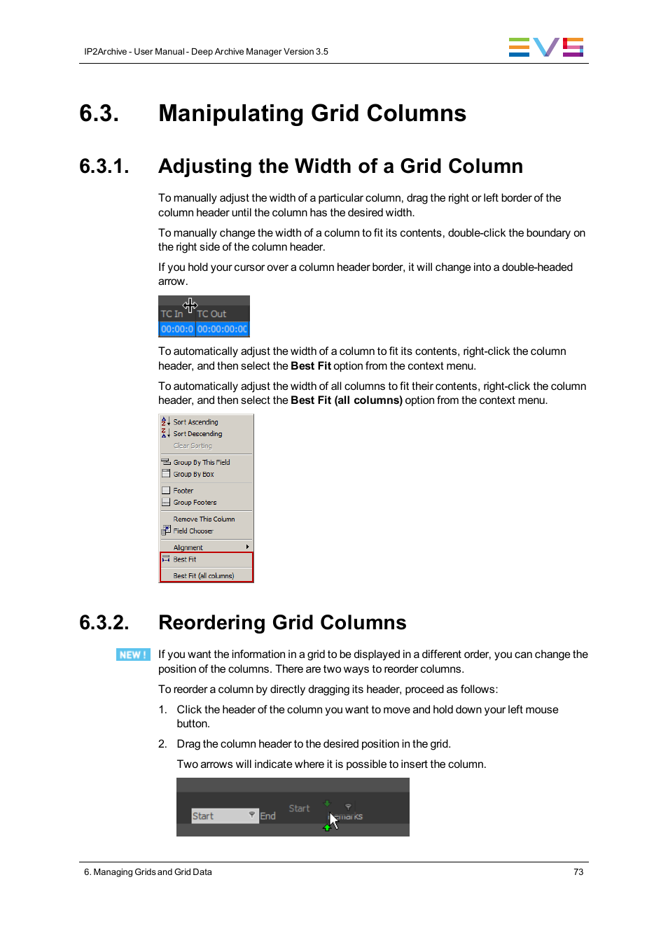 Manipulating grid columns, Adjusting the width of a grid column, Reordering grid columns | EVS IP2Archive Deep Archive Manager Version 3.5 - July 2013 User Manual User Manual | Page 81 / 113
