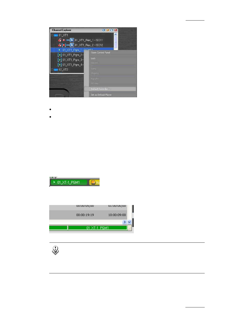 Ow to, Et up the, Efault | Layer, Hannel, Or the, Nterface | EVS IPDirector Version 4.4 - March 2008 Part 1 User's Manual User Manual | Page 56 / 66