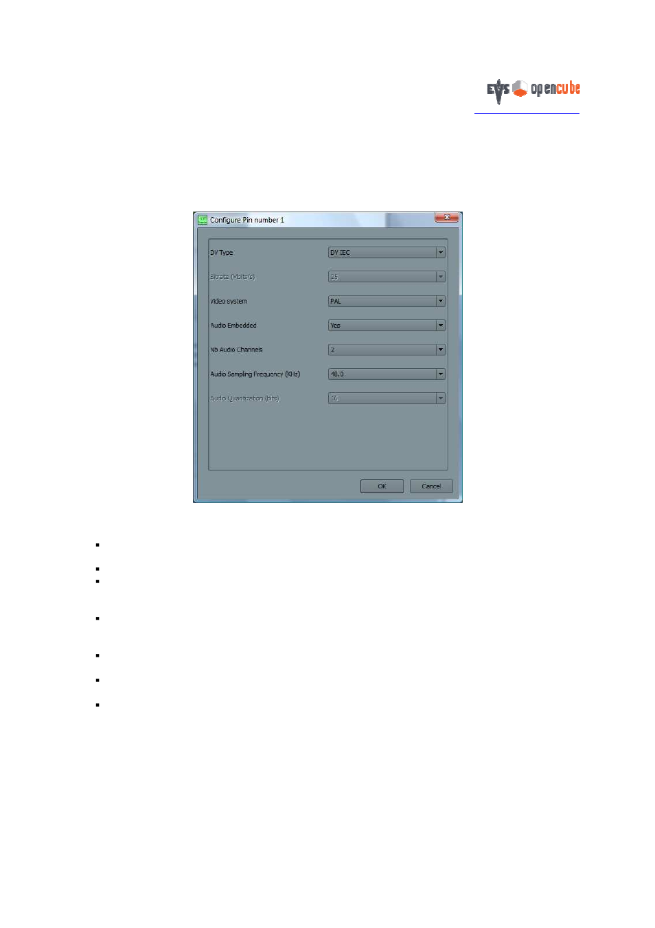 3 video and audio stream configuration, 1 dv stream | EVS OpenCube XFConverter v1.3 - User Guide User Manual | Page 13 / 38