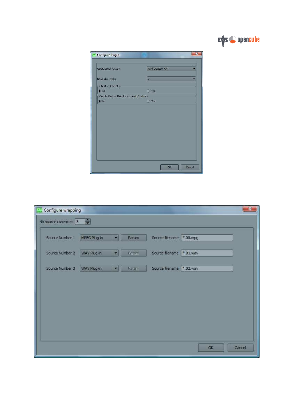 6 wrap plug-in | EVS OpenCube XFConverter v1.3 - User Guide User Manual | Page 30 / 38
