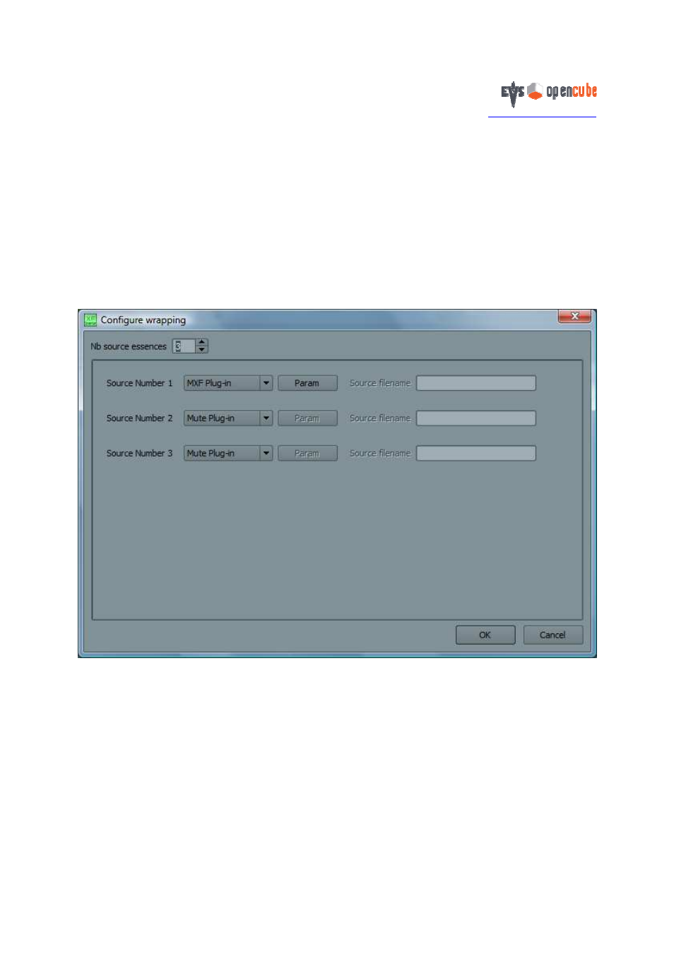EVS OpenCube XFConverter v1.3 - User Guide User Manual | Page 31 / 38