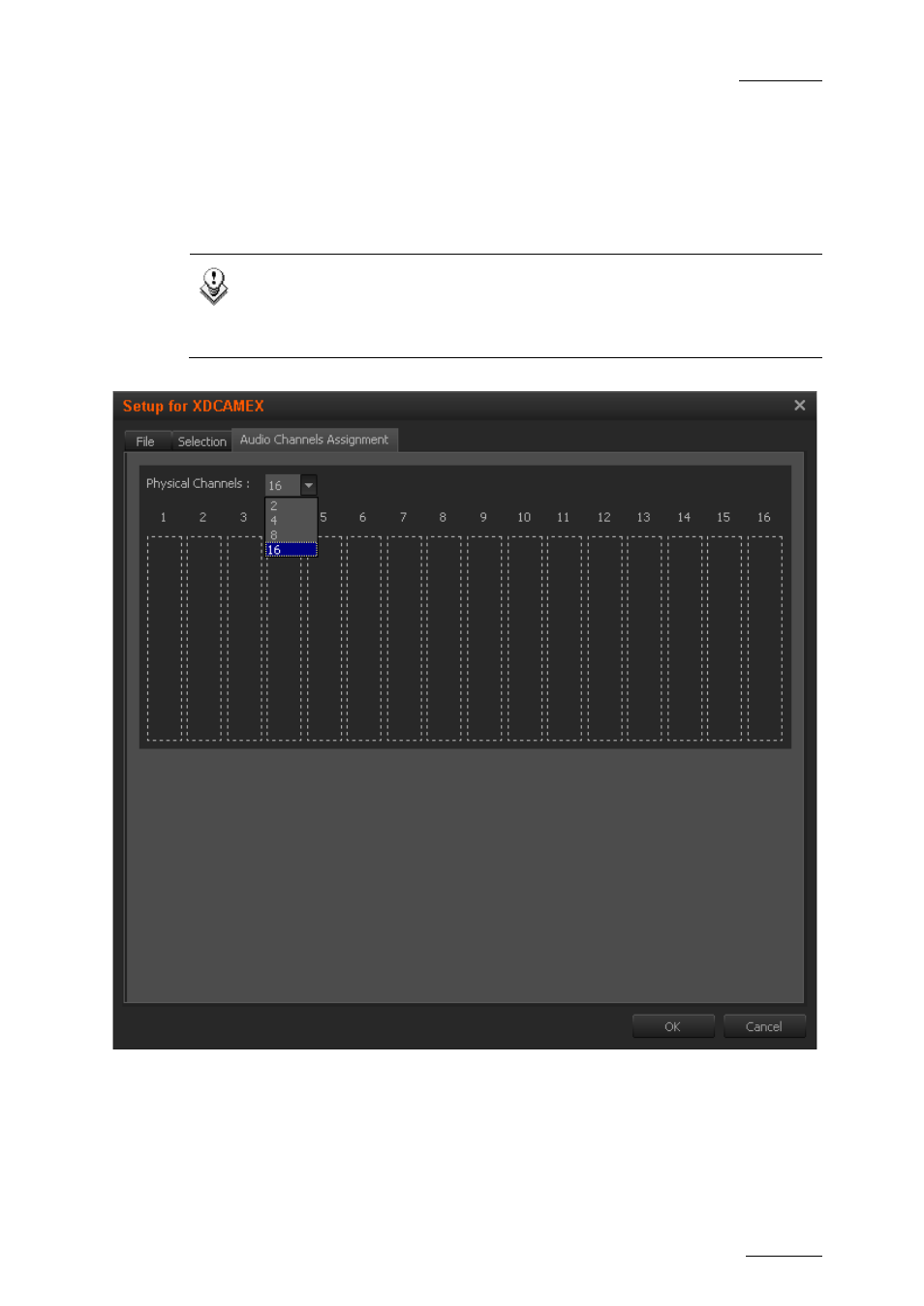 3 audio channel assignment tab, Audio channel assignment tab, Udio | Hannel, Ssignment | EVS XEDIO Importer Version 4.1 - December 2011 User Manual User Manual | Page 19 / 36