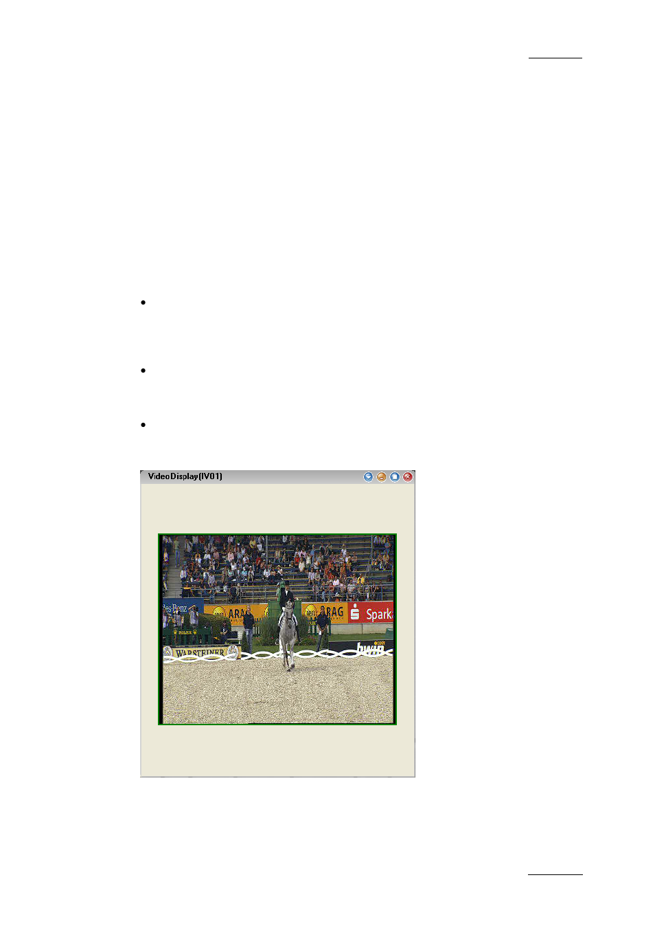 2 video display, 1 introduction, Ntroduction | EVS IPDirector Version 5.6 - May 2009 Part 1 User's Manual User Manual | Page 104 / 121