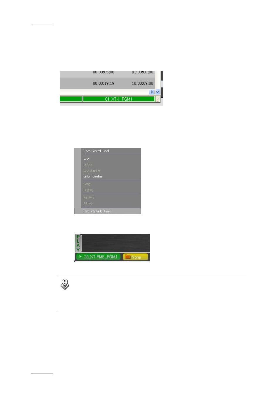 2 how to define the default player for ipdirector, 4 xfile view, 5 vtr view | Ow to, Efine the, Efault, Layer, Irector | EVS IPDirector Version 5.6 - May 2009 Part 1 User's Manual User Manual | Page 87 / 121