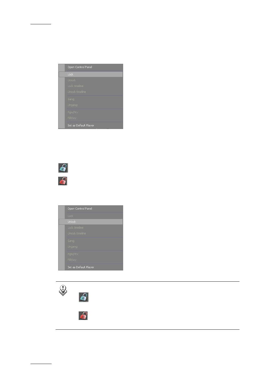 5 how to lock a channel, 6 how to unlock a channel, Ow to | Ock a, Hannel, Nlock a | EVS IPDirector Version 5.6 - May 2009 Part 1 User's Manual User Manual | Page 91 / 121