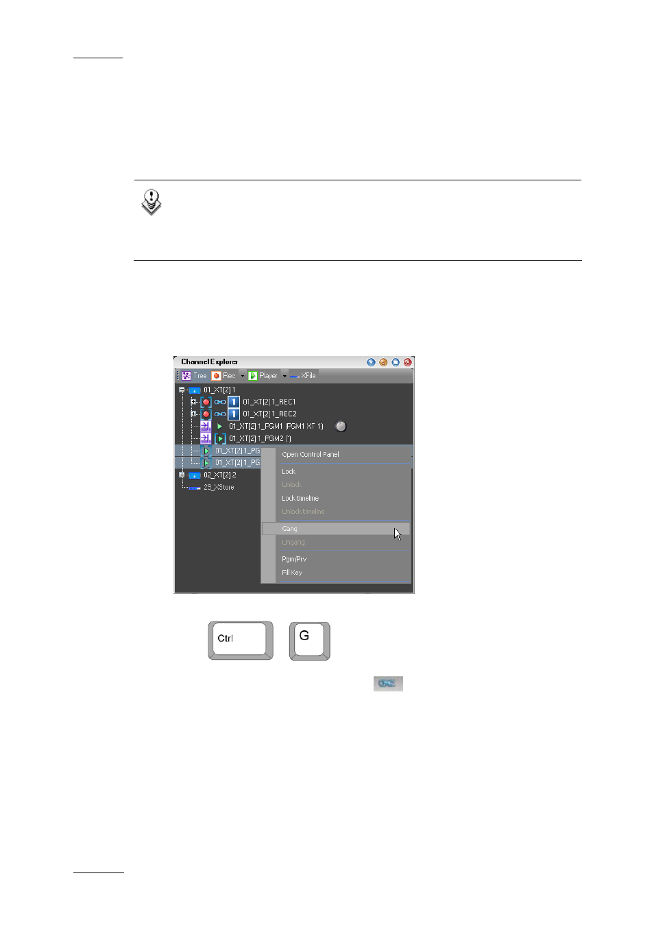 8 how to gang recorder or player channels, 5 how to lock a channel, 6 how to unlock a channel | Ow to, Ecorder or, Layer, Hannels | EVS IPDirector Version 5.6 - May 2009 Part 1 User's Manual User Manual | Page 93 / 121
