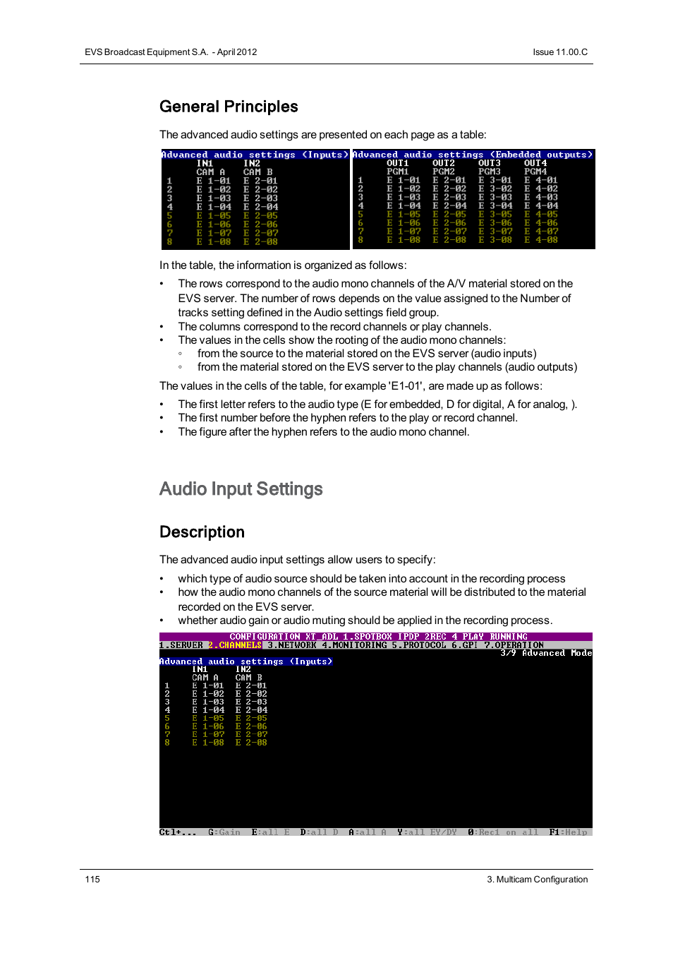 Audio inputs, Audio input settings, General principles | Description | EVS XT3 Version 11.00 Configuration Manual User Manual | Page 121 / 227