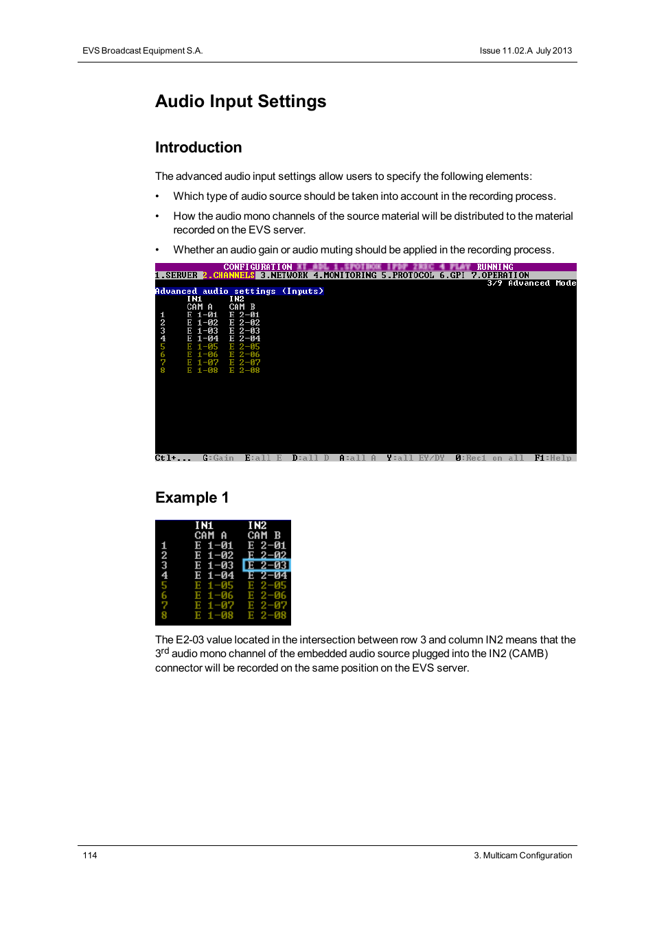 Audio inputs, Audio input settings, Introduction | Example 1 | EVS XT2 Version 11.02 - July 2013 Configuration Manual User Manual | Page 122 / 227