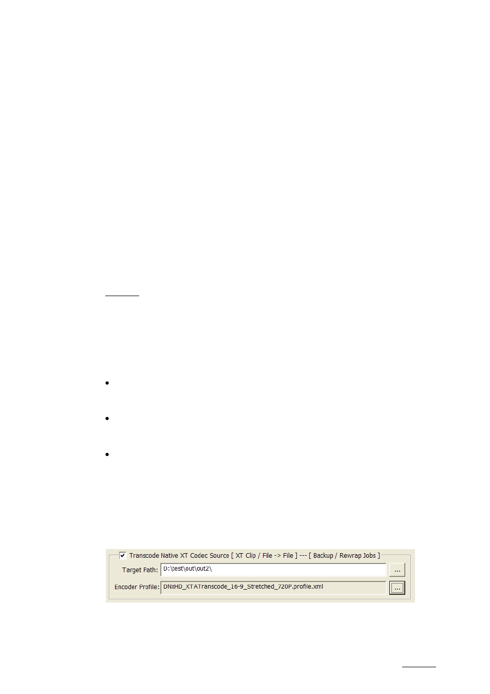 2 codecs supported, 3 local xtaccess settings (non xml), Codecs supported | Local xtaccess settings (non xml) | EVS XTAccess Version 1.10 - July 2009 User Manual User Manual | Page 66 / 119