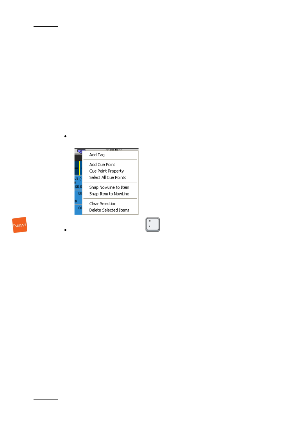 2 adding a logo or graphic, 1 introduction, 2 accessing the tag manager window | Adding a logo or graphic, Introduction, Accessing the tag manager window, 2 ‘adding a logo or graphic | EVS XEDIO CleanEdit Version 3.1 - January 2011 User Manual User Manual | Page 185 / 222
