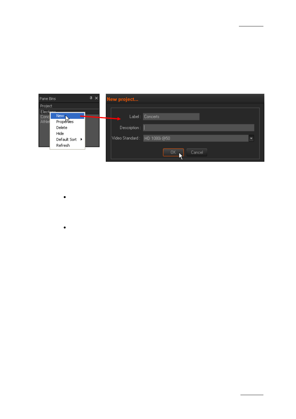 4 creating a new project, Procedure, Project default values | Project video standard, Creating a new project, Reating a, Roject | EVS XEDIO CleanEdit Version 3.1 - January 2011 User Manual User Manual | Page 50 / 222