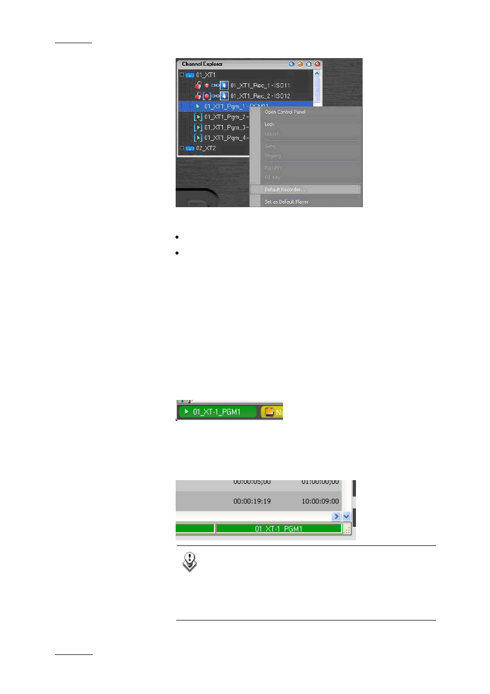 Ow to, Et up the, Efault | Layer, Hannel, Or the, Nterface | EVS IPDirector Version 4.3 - October 2007 Part 1 User's Manual User Manual | Page 59 / 68