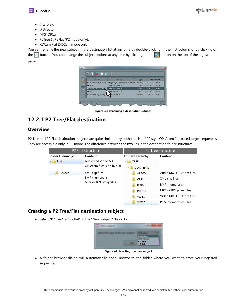 1 p2 tree/flat destination, Overview, Creating a p2 tree/flat destination subject | 1 overview | EVS ENGSoft v1.5 User Guide User Manual | Page 31 / 63