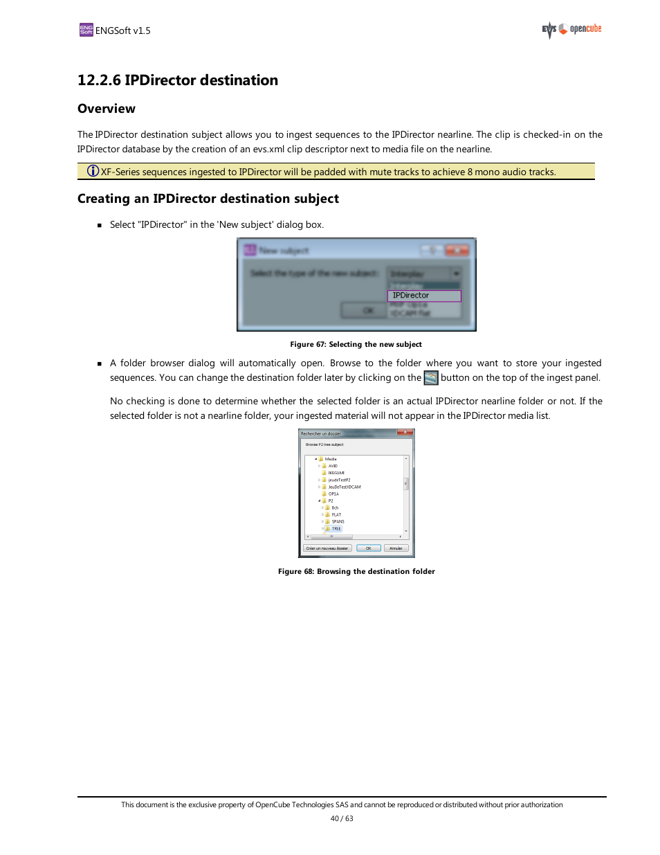 6 ipdirector destination, Overview, Creating an ipdirector destination subject | EVS ENGSoft v1.5 User Guide User Manual | Page 40 / 63