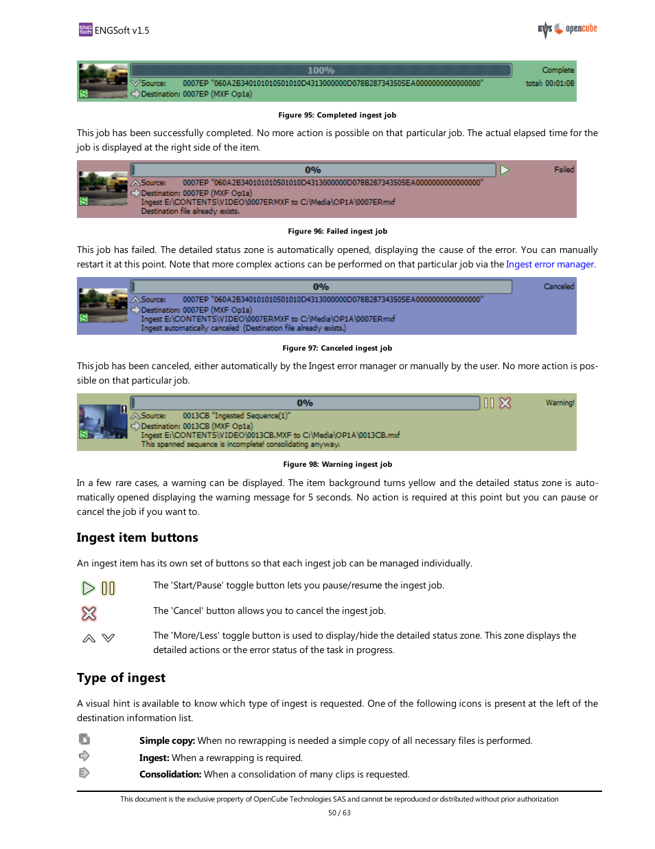 Ingest item buttons, Type of ingest, Warning | EVS ENGSoft v1.5 User Guide User Manual | Page 50 / 63
