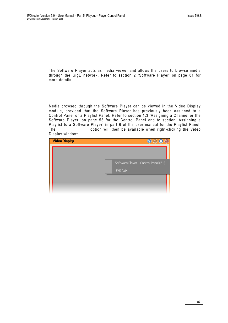 3 using the software player and the video display, 1 introduction, 2 opening the video display | Using a player channel on a video display, Preliminary steps, Connecting the video source, Assigning a channel to a video display | EVS IPDirector Version 5.9 - January 2011 Part 5 User’s Manual User Manual | Page 98 / 106