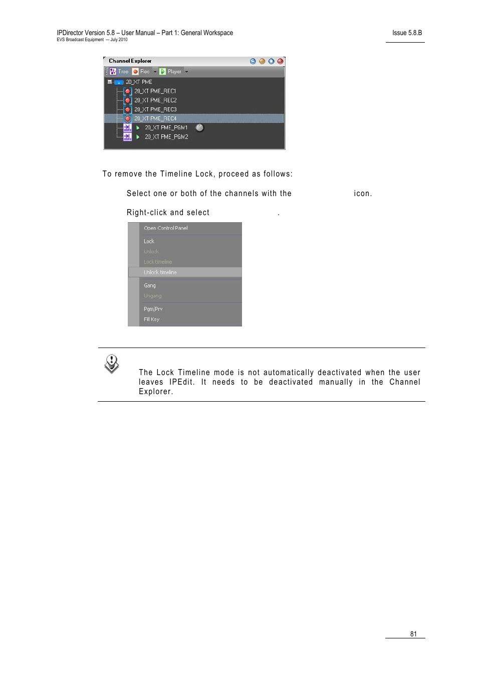 EVS IPDirector Version 5.8 - July 2010 Part 1 User's Manual User Manual | Page 92 / 133