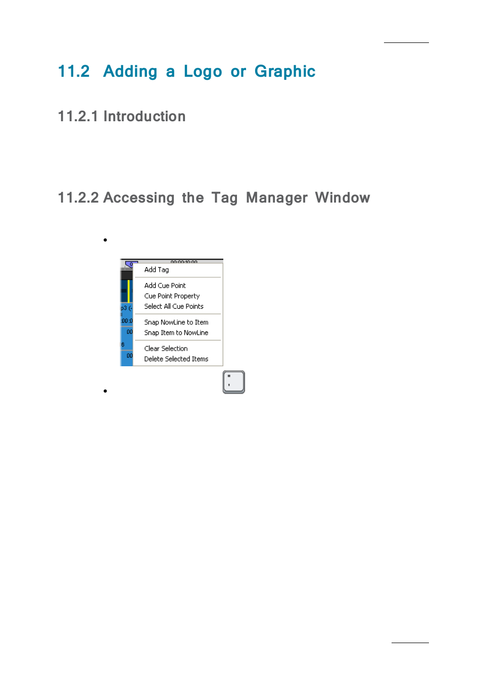 2 adding a logo or graphic, 1 introduction, 2 accessing the tag manager window | Adding a logo or graphic, Introduction, Accessing the tag manager window, And 11.2 ‘adding a logo or graphic, E 185 | EVS IPDirector IPD XEDIO PLUGIN Version 6.0 - January 2013 User Manual User Manual | Page 195 / 222