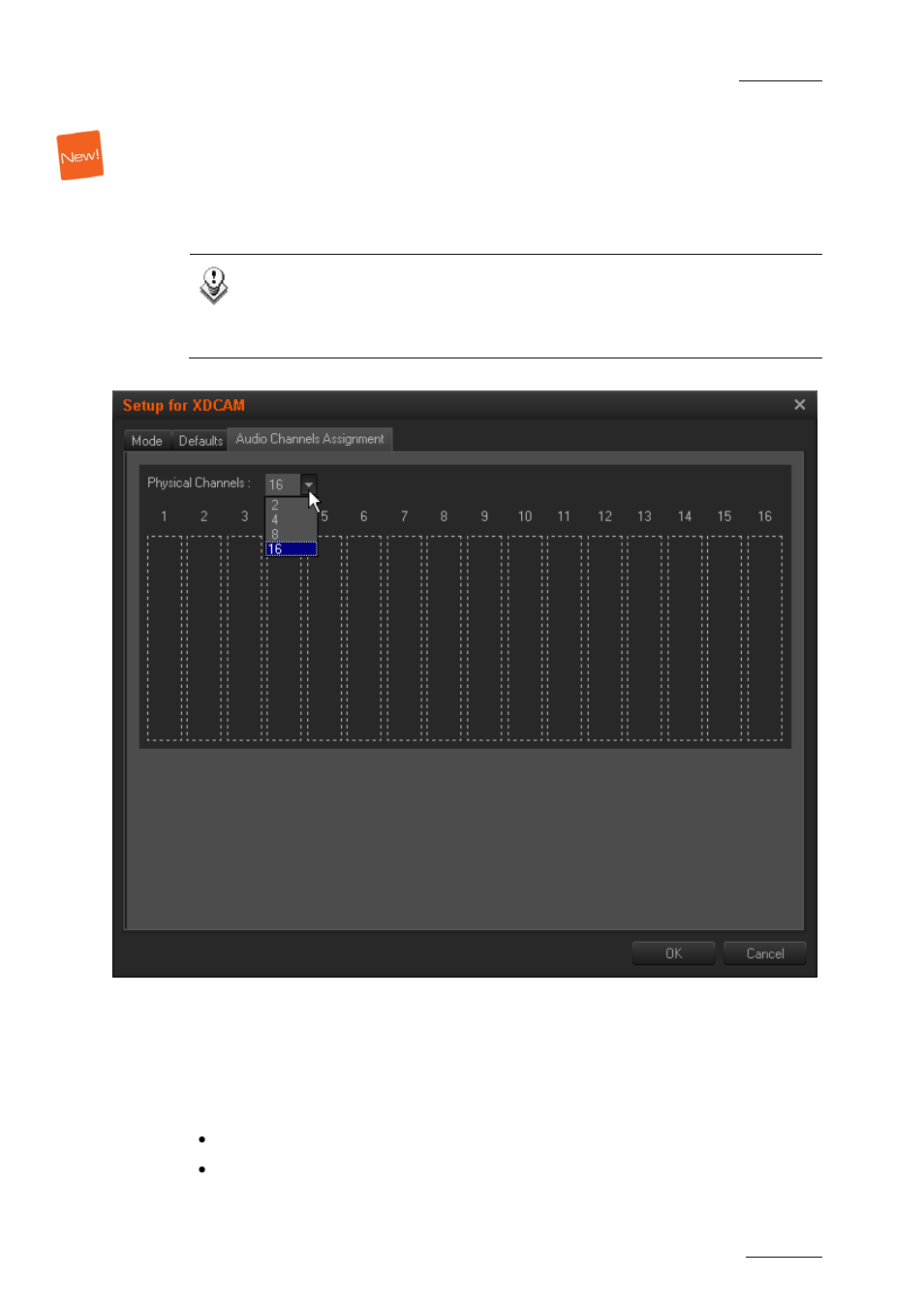 3 audio channel assignment tab, How to define audio channel assignment, Audio channel assignment tab | EVS XEDIO Importer Version 3.1 - January 2011 User Manual User Manual | Page 18 / 34