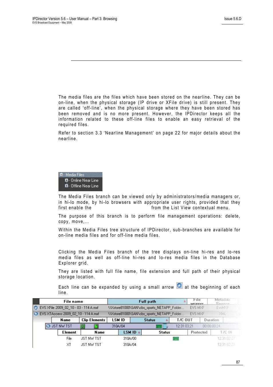 Media files view, 1 introduction, 2 media files tree structure | 10 ‘media files view’ on pa, 87 fo | EVS IPDirector Version 5.6 - May 2009 Part 3 User's Manual User Manual | Page 98 / 131
