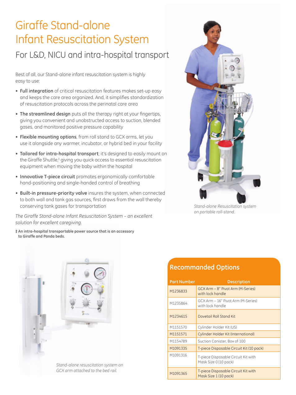 Giraffe stand-alone infant resuscitation system, For l&d, nicu and intra-hospital transport, Recommanded options | GE Healthcare Stand-alone Resuscitation System User Manual | Page 2 / 4