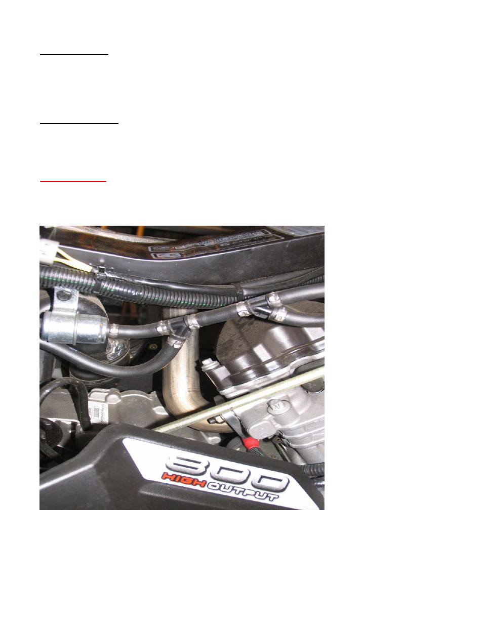 High Lifter Looney Tuned Dual Exhaust for Can-Am Renegade 800 (07-11) User Manual | Page 2 / 4