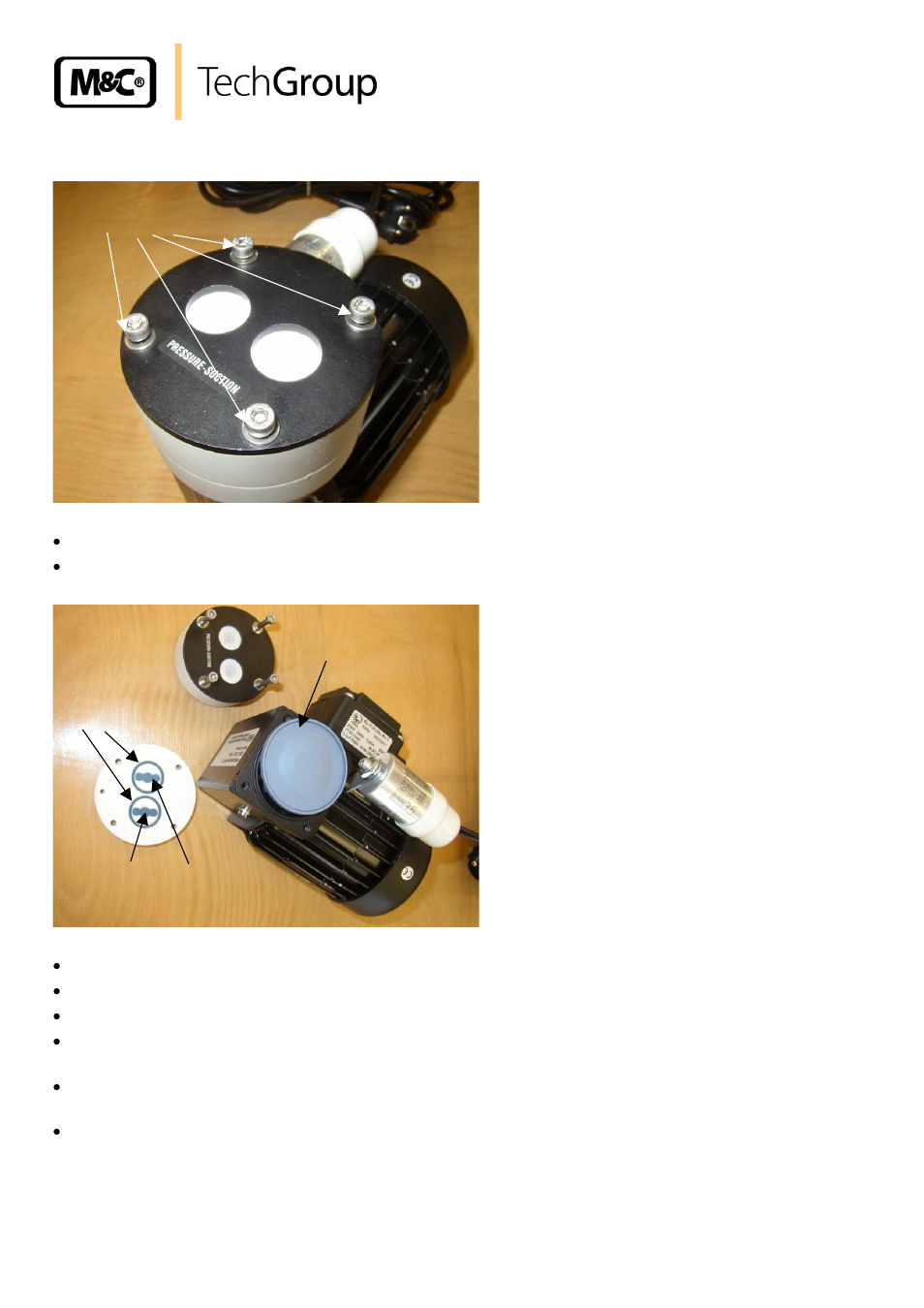 Changing the diaphragm, valves and sealings, Figure 4, Pump head with hexagon screws | Figure 5, Dismounted pump head | M&C TechGroup MP12 Operator's manual User Manual | Page 14 / 17
