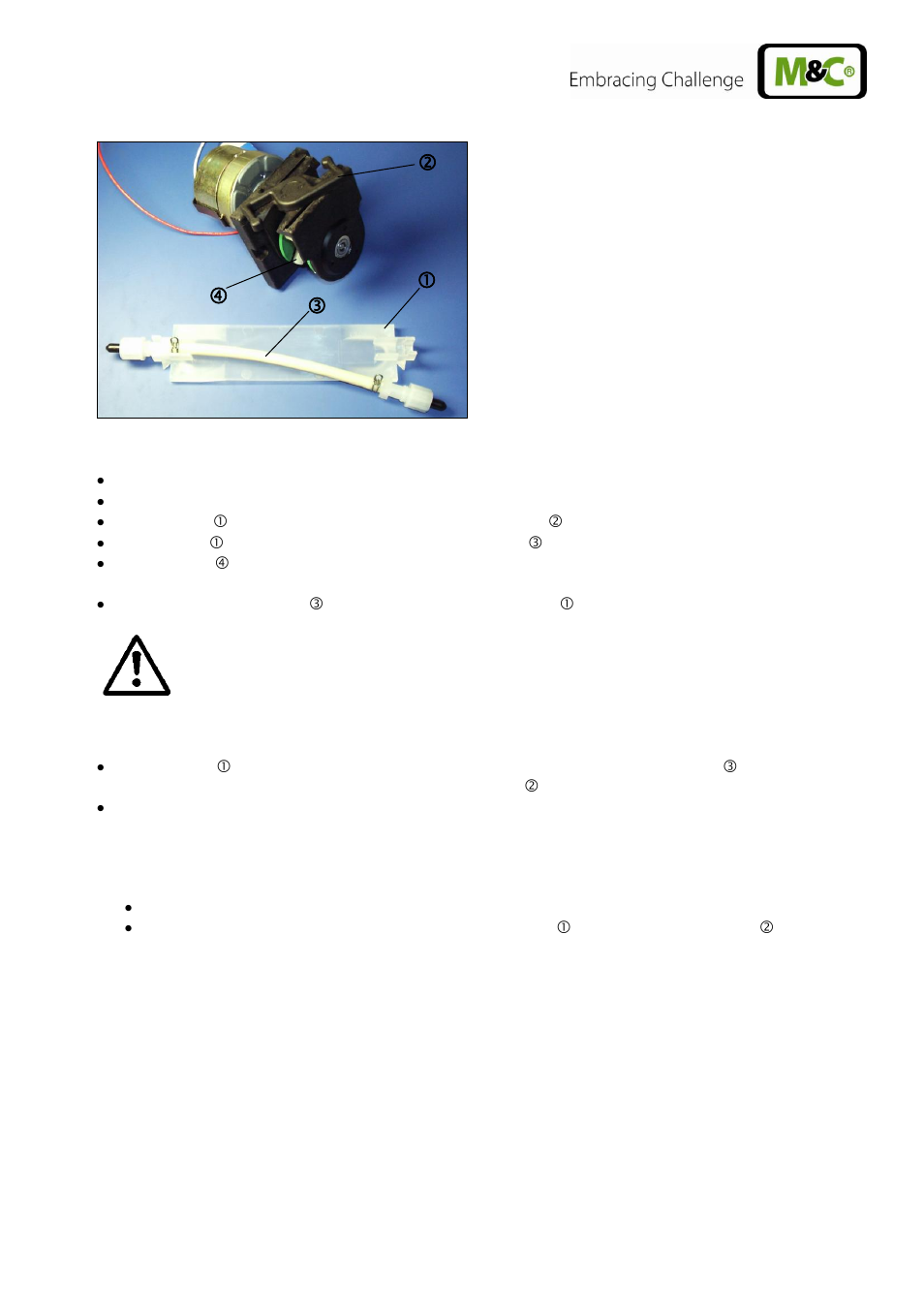 Change of contact pulleys and springs, Figure 20, Replacing the pump hose | M&C TechGroup CSS-VC2 Operator's manual User Manual | Page 47 / 56
