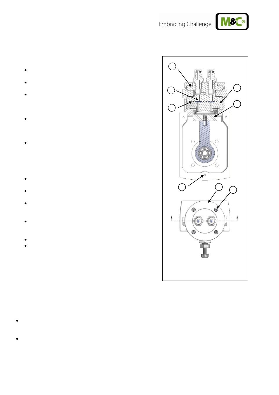 Exchange of the valve plates, Exchange of the bellows, Cleaning | Figure 8, Sectional drawing mp-f | M&C TechGroup MP-F10_R Operator's manual User Manual | Page 16 / 18