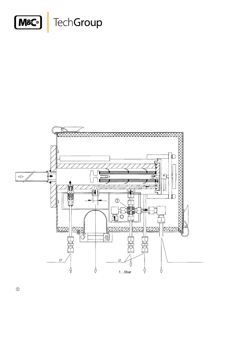 Introduction, Description, Figure 1 | M&C TechGroup SP2000H_DIL_BR Operator's manual User Manual | Page 8 / 35