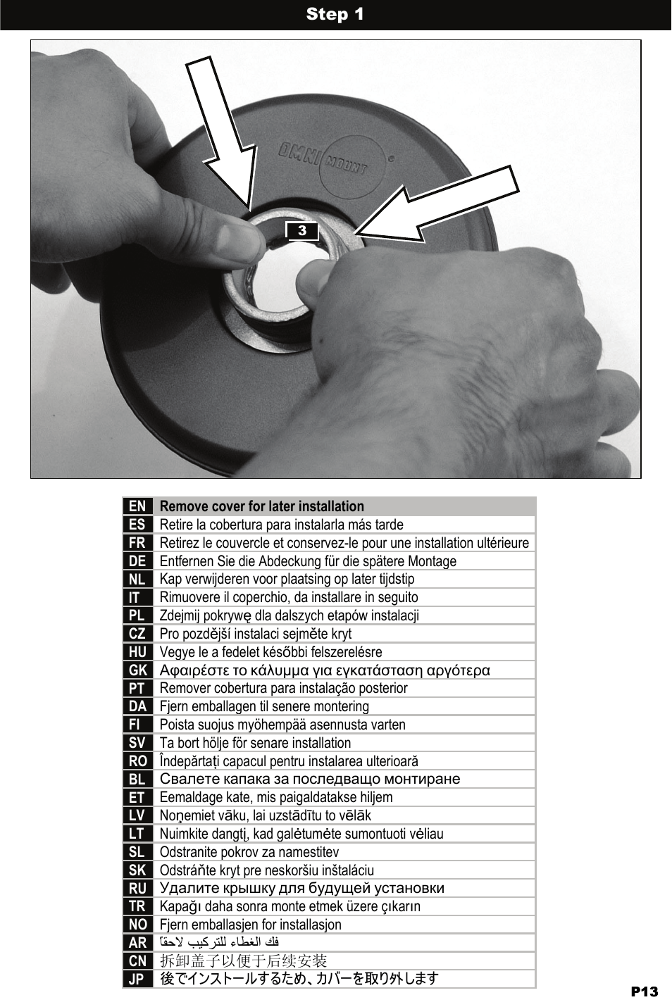 Omnimount WM3-PJT Manual ru User Manual | Page 13 / 28