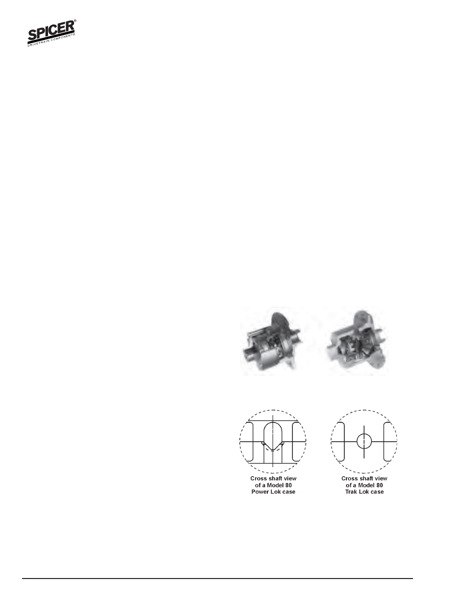 General information | Spicer Axle General Information User Manual | Page 6 / 102