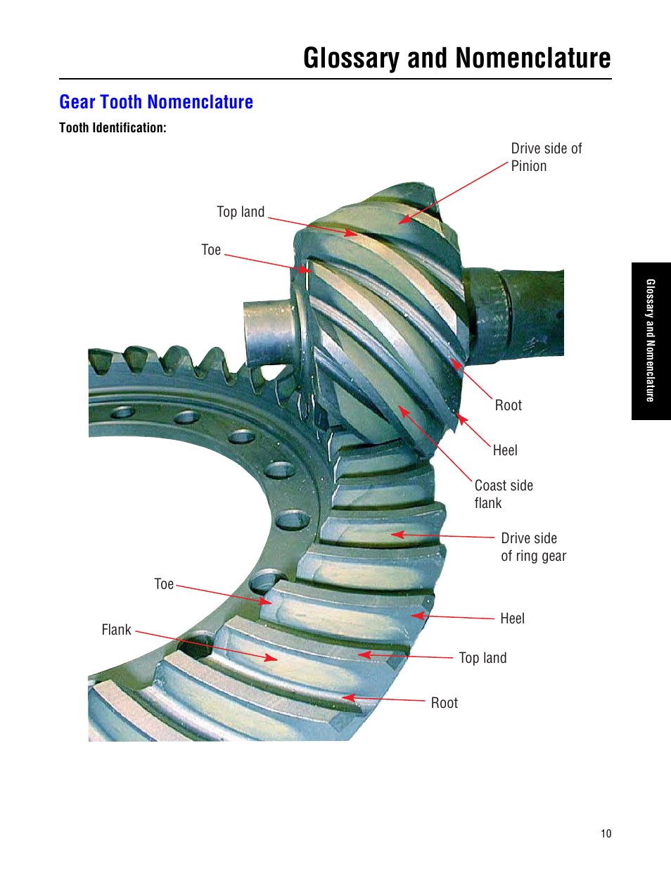 Gear tooth nomenclature, Glossary and nomenclature | Spicer Drive Axles Failure Analysis Service Manual User Manual | Page 11 / 50