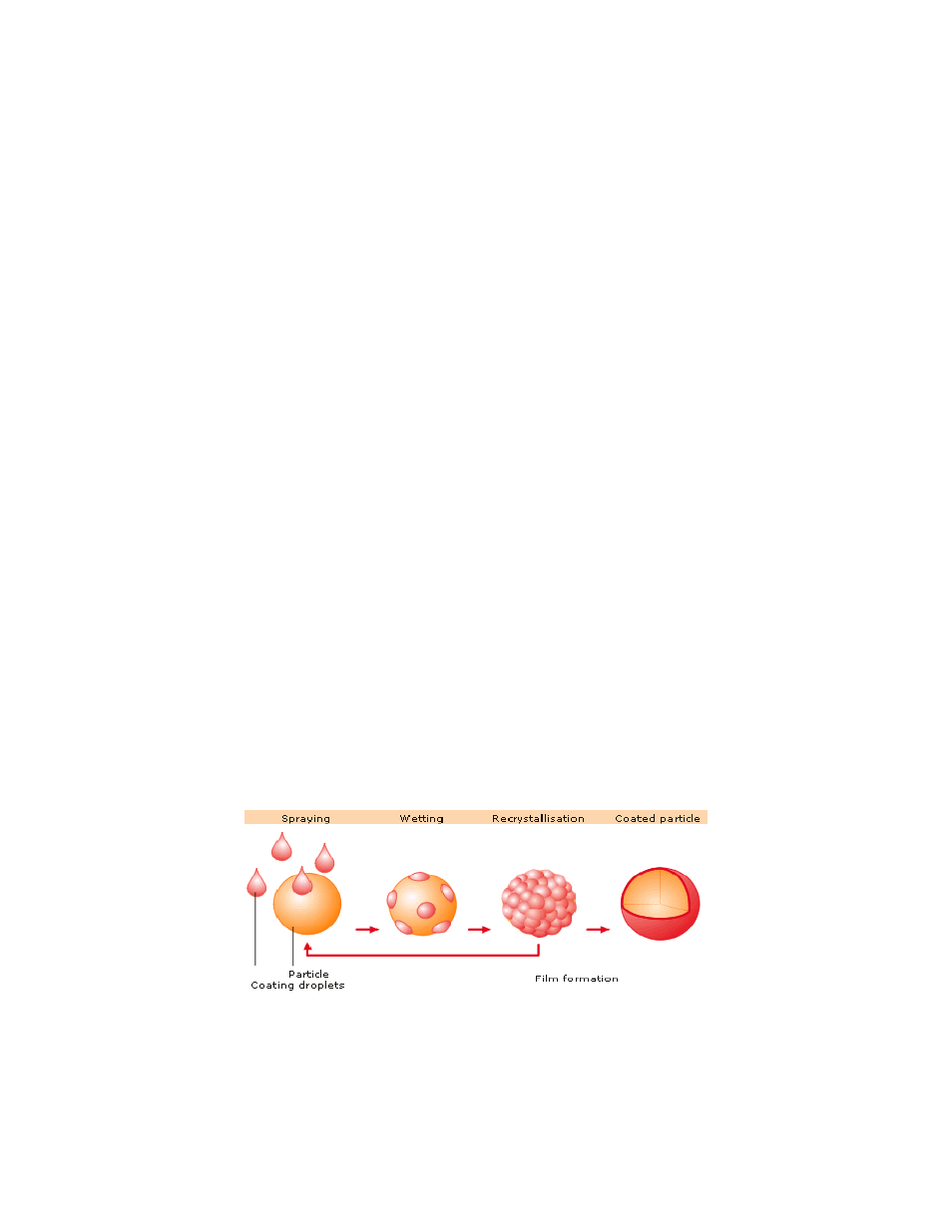 In-vitro fermentation data, In-vivo production data, How to use omt performance enhancer | Iso-fusion process | The Old Mill-Troy OMT Performance Enhancer - Plant Extracts Enhancing Rumen Function User Manual | Page 2 / 2