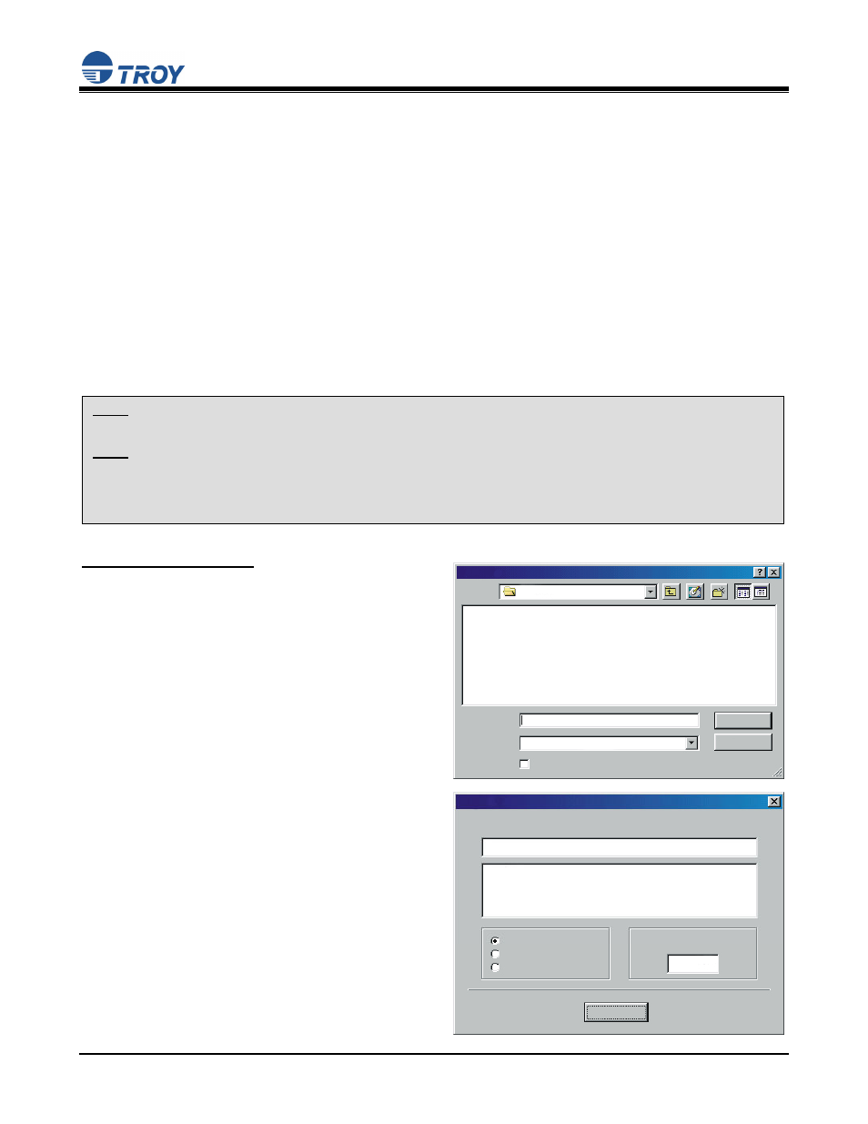 TROY Group Using Digital Resources - Understanding TROY’s Flash-File Feature User Manual | 3 pages