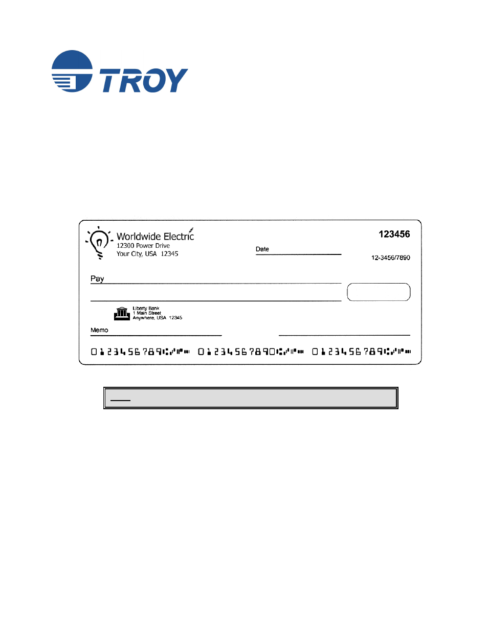 TROY Group MICR Basics Handbook User Manual | 21 pages